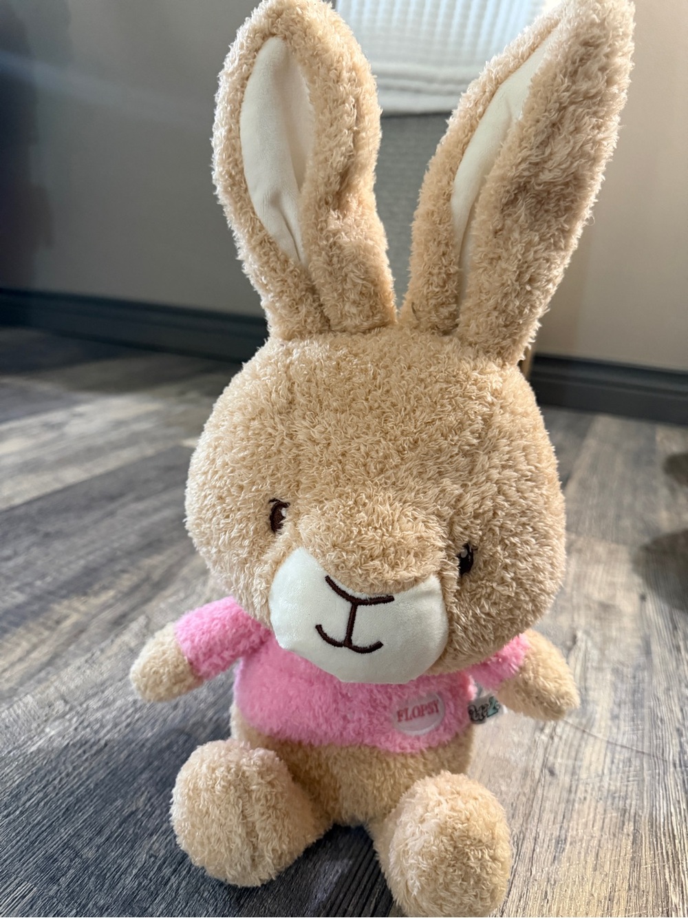 Peter Rabbit Flopsy Bunny Plush Stuffed Animal Pink Sweater 2024 🐰💗 Baby Girl